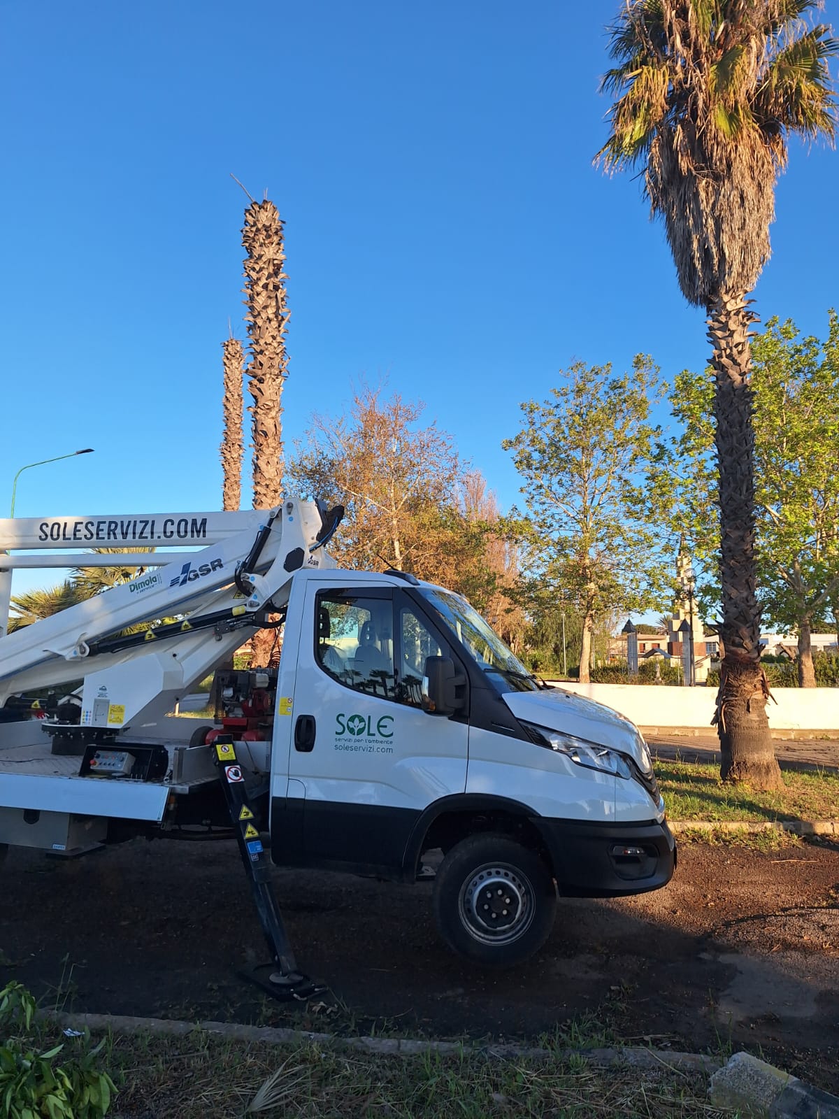 Autocarro SOLE con piattaforma aerea durante la potatura di palme
