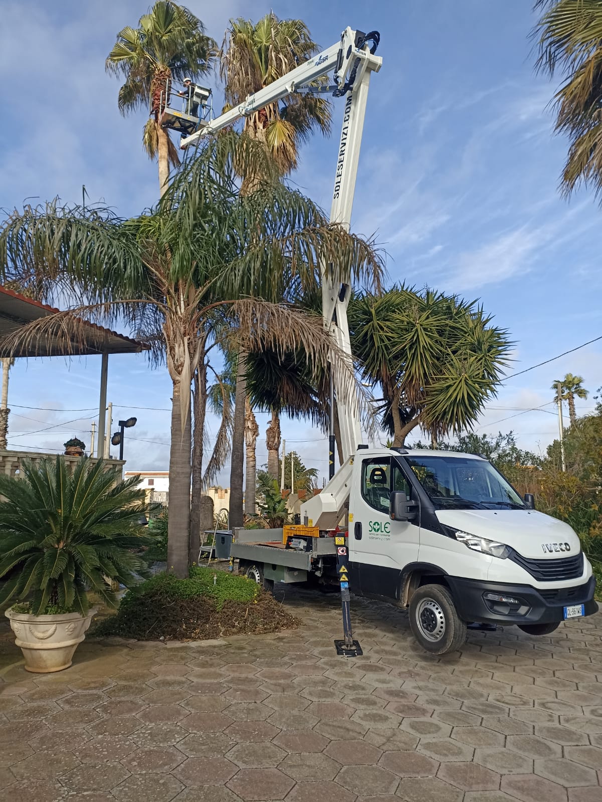 Potatura di palme in un giardino privato con piattaforma aerea SOLE