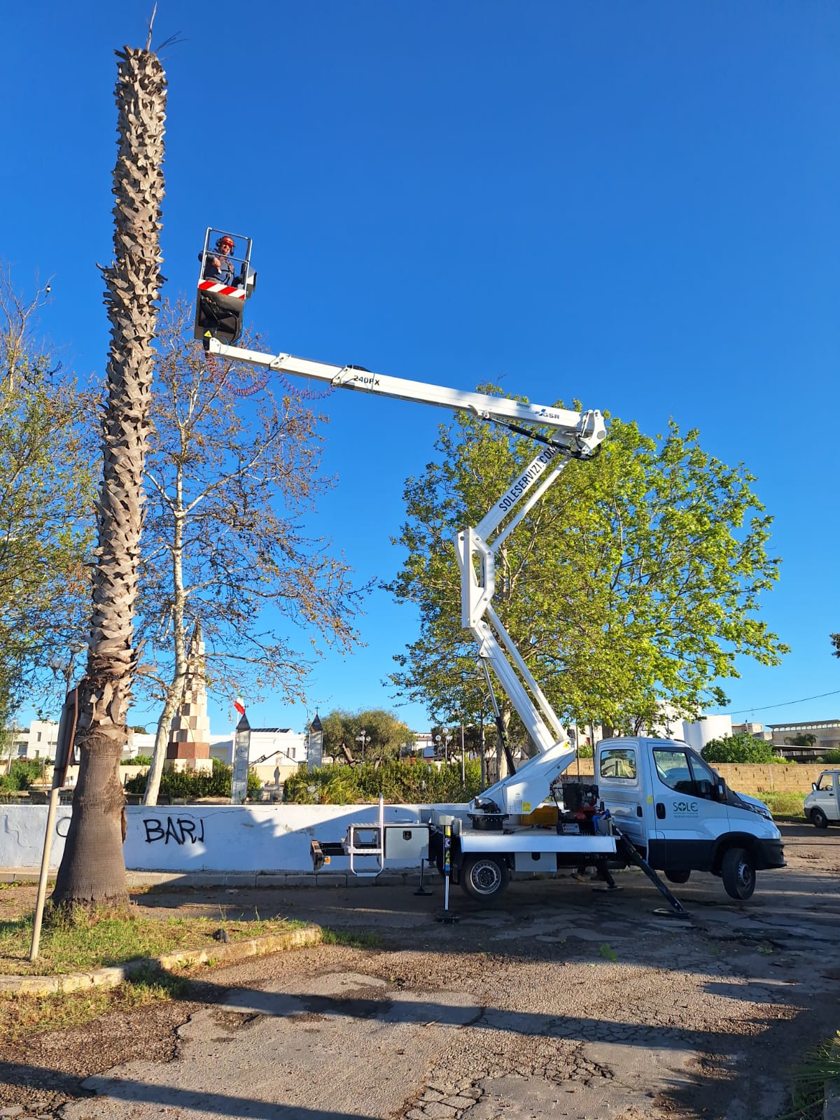 Piattaforma aerea SOLE durante la pulizia del fusto di una palma