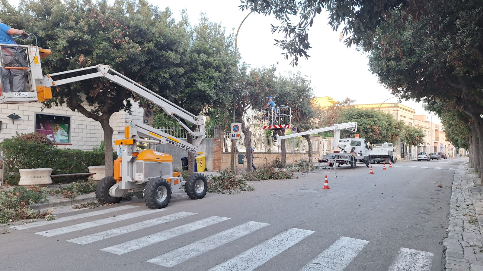 Cantiere di potatura su viale alberato con piattaforme e segnaletica