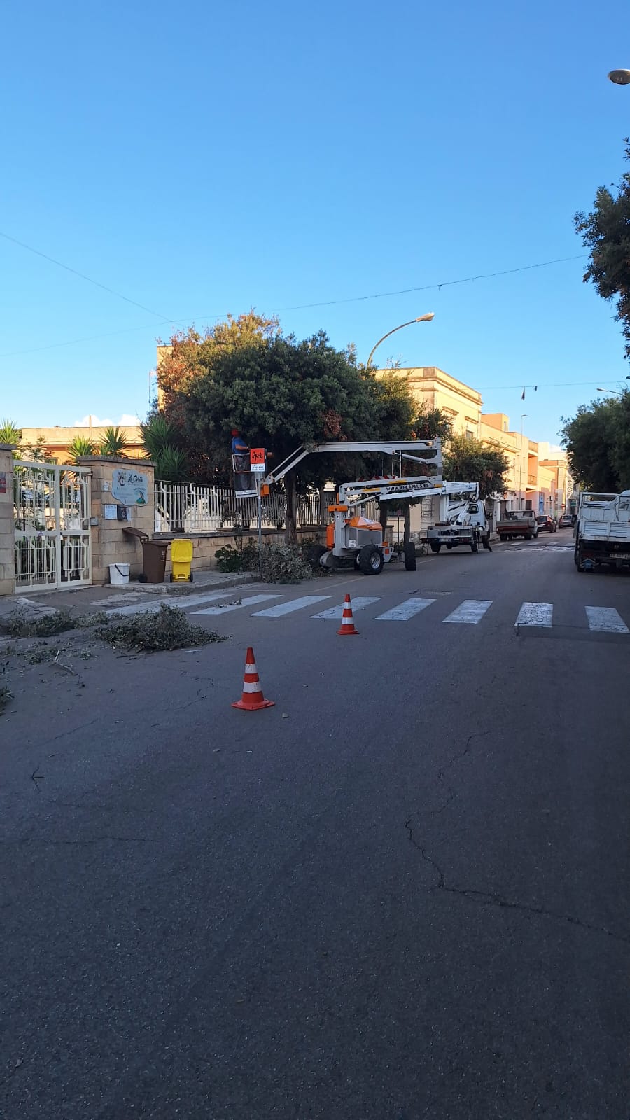 Area di cantiere segnalata durante la potatura di un viale