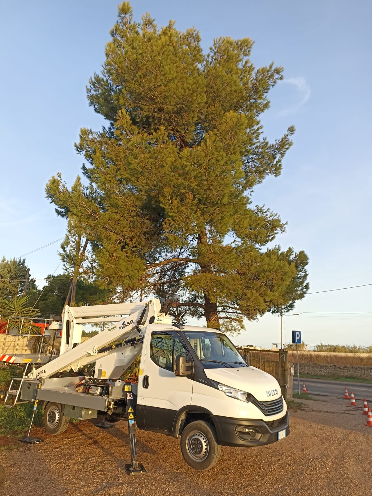 Autocarro SOLE con piattaforma aerea davanti a un grande pino marittimo